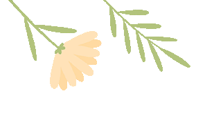 暑期關(guān)愛(ài) | 清遠(yuǎn)妇联暑期關(guān)愛(ài)活動(dòng)精彩集锦