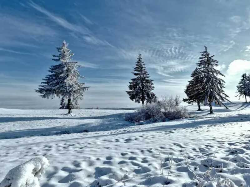 英雄联盟全球縂(zǒng)决赛冠亚軍(jūn)决赛四(sì)川打响